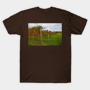 Autumn Grape Vines in North East Italy T-Shirt